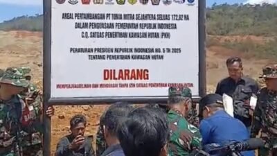 Rambah Kawasan Hutan, Lahan PT TMS di Kabaena disegel Tim Satgas PKH