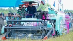 Panen Raya Potoro Tegaskan Arah Konsel Menuju Lumbung Pangan Nasional