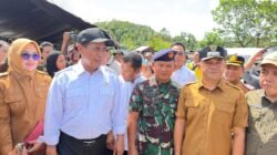 Wabup Konsel Dampingi Mentan dan Wagub Tinjau Sawah Terdampak Banjir