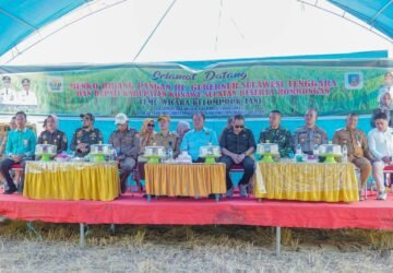 Sekda Konsel Hadiri Panen Raya Padi Sawah di Kecamatan Basala